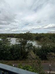 Kingsford Waterbay (D19), Apartment #529969931